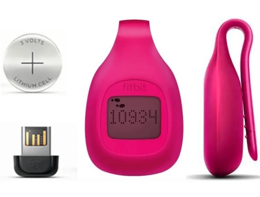 Fitbit Zip (componentes)